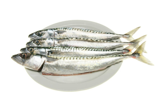 四魚板
