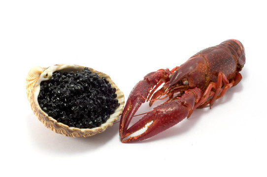 魚(yú)子醬