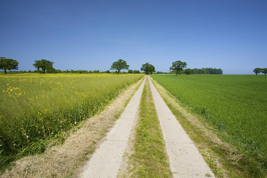空曠的鄉(xiāng)間路上穿過綠色的草地