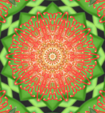 紅色和綠色的抽象