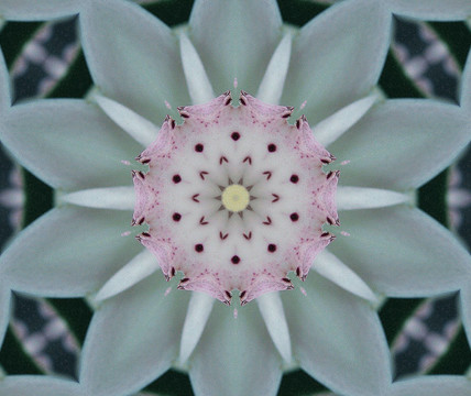 粉紅色和淡綠色的抽象