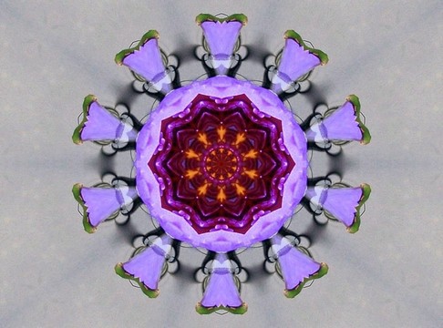 紫星摘要