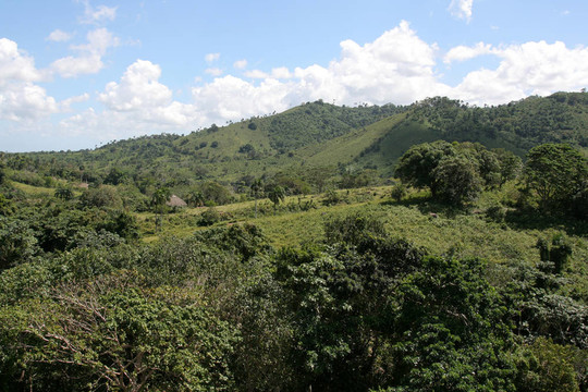 繁茂的丘陵起伏的丘陵景觀
