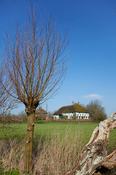 Dutch景觀農(nóng)莊