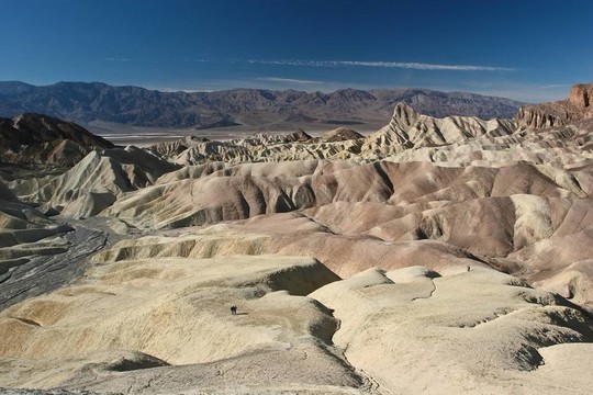 無限春光在險峰