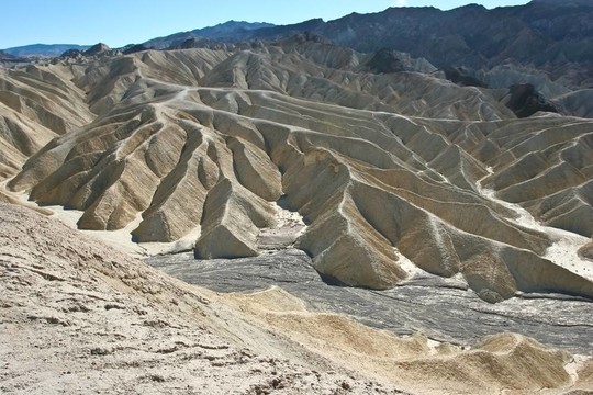 無限春光在險峰