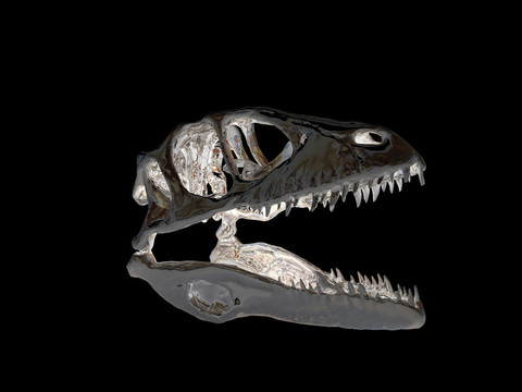 Dinosaur的頭