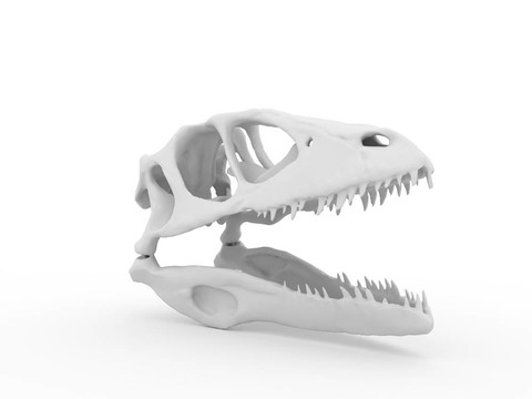 Dinosaur的頭