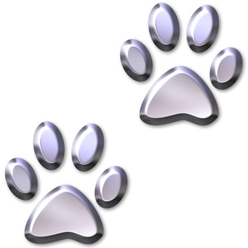 3D銀動物腳印