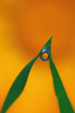 里面