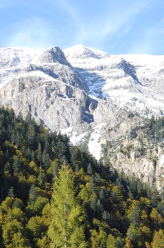 高山121