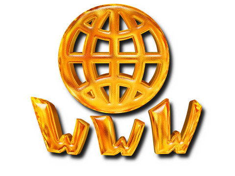 金色圖案的全球WWW信互聯(lián)網(wǎng)概念在白
