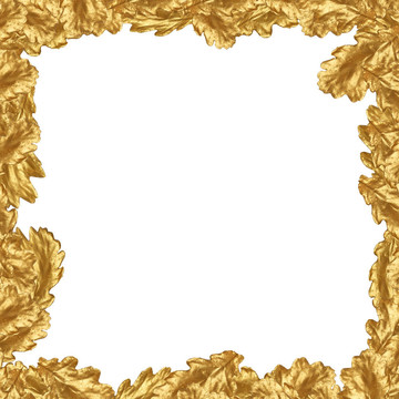金橡樹葉緣