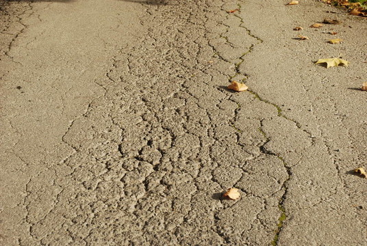 坎坷的道路