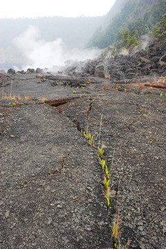 火山口的底部