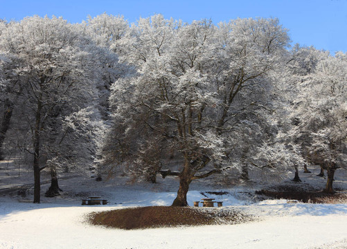 最后一場(chǎng)雪