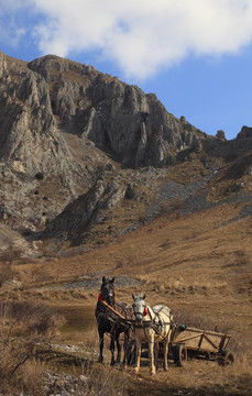 trascau山