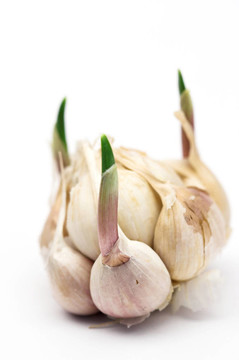 大蒜