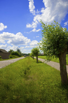 美麗的風(fēng)景