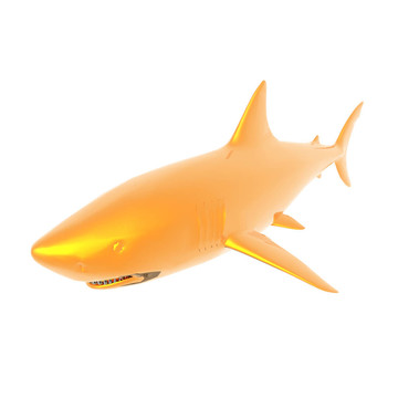 在白色的鯊魚上分離