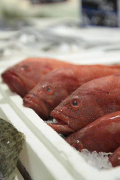 公開市場上展示的魚類特寫鏡頭。