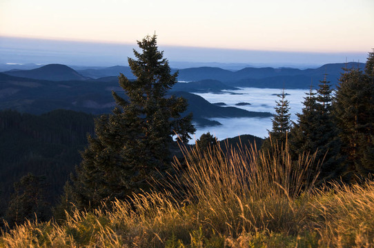 在Willamette山谷的日出；或