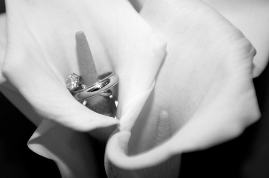 在calla lily的結(jié)婚戒指