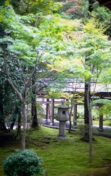 日本花園與Stone Lantern