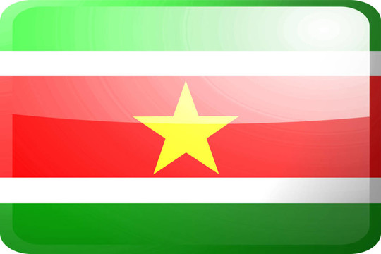 蘇里南按鈕標志