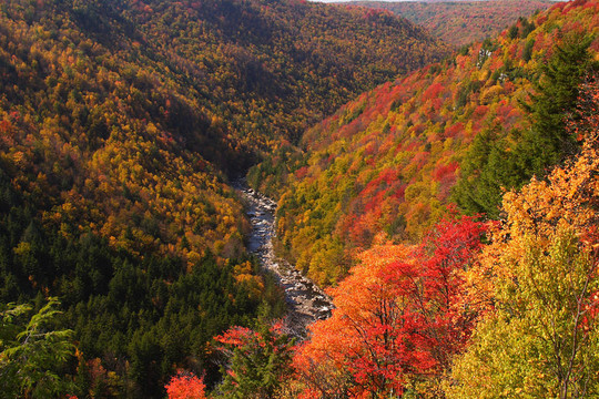 落山風(fēng)景