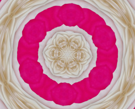 玫瑰花瓣
