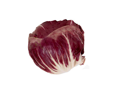 新鮮菊苣