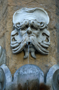 石像鬼的臉在一個(gè)噴泉