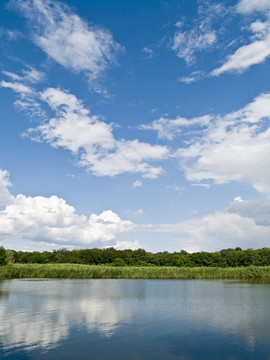農村景觀河