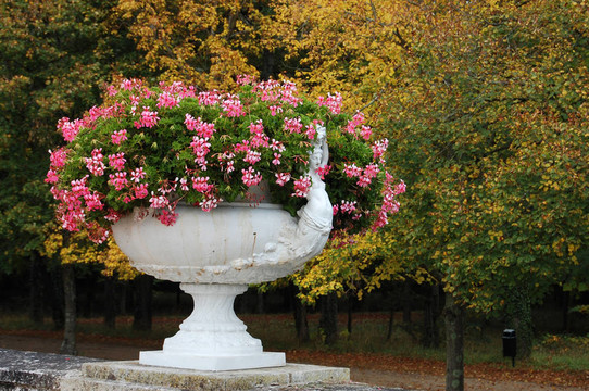 在castle Chenonceau Flowers公園的一個(gè)花瓶