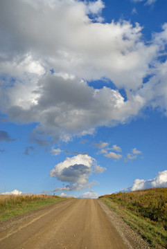 農(nóng)村公路