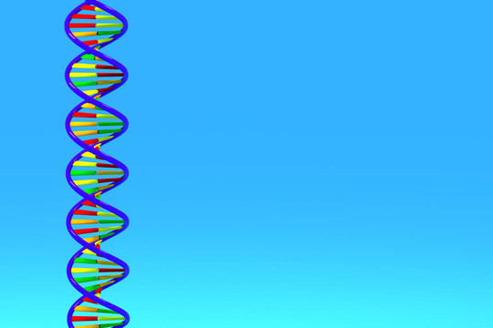 DNA