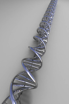 DNA