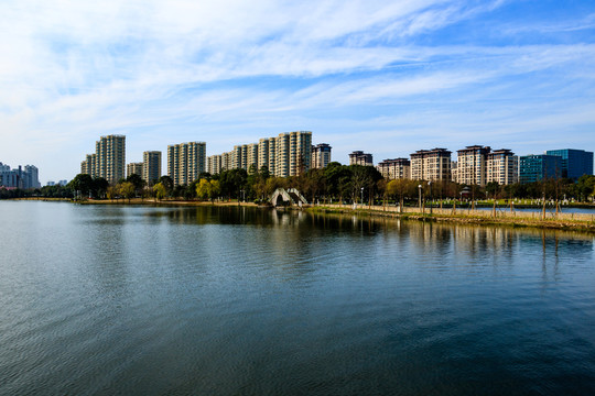 冬季日湖公園 湖泊 寧波日湖