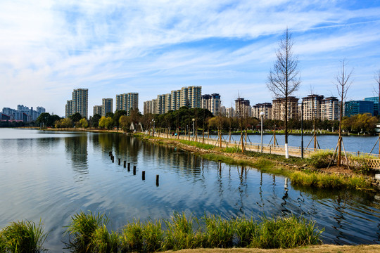 冬季日湖公園 湖泊 寧波日湖