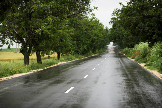 濕的鄉(xiāng)間道路