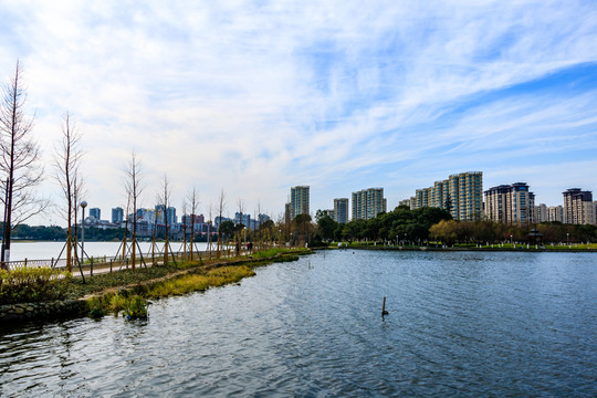 冬季日湖公園 湖泊 寧波日湖