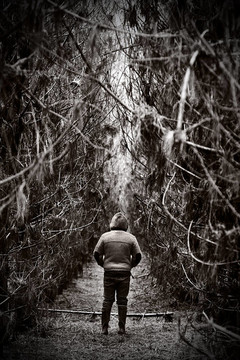在茂密的森林小徑上的身影