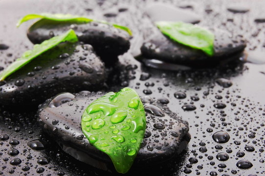 禪石養(yǎng)生觀