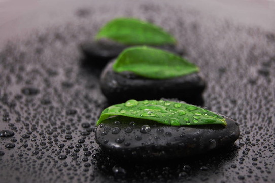 禪石養(yǎng)生觀