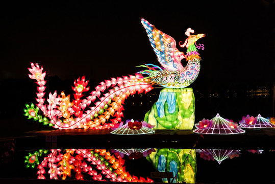 鳳凰花燈