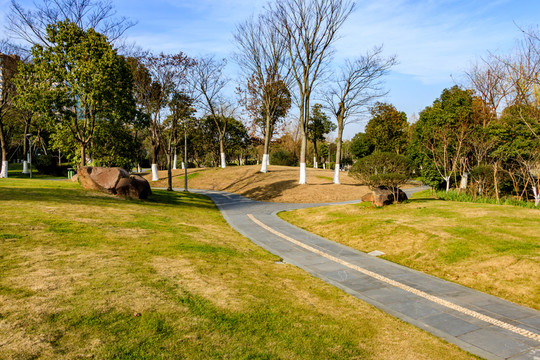 公園小道