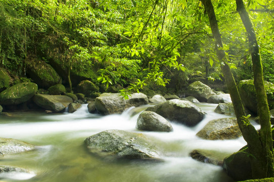 山區(qū)河流