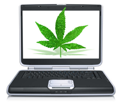 在筆記本電腦的屏幕3D大麻葉白色隔離