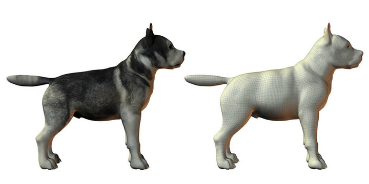 雪橇狗的3D模型